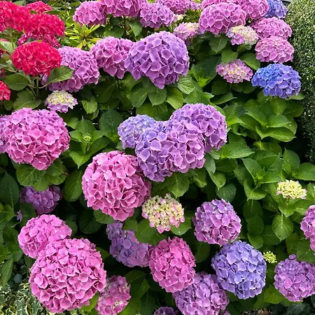 Maison De Charme Avec Jacuzzi Location 1 Ou 2 Semaines Debut Juillet 2026 Βίλα *