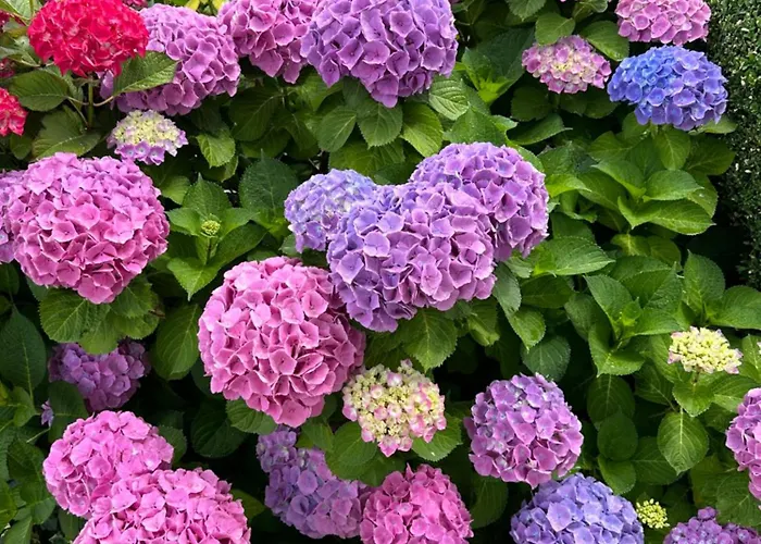 Maison De Charme Avec Jacuzzi Location 1 Ou 2 Semaines Debut Juillet 2026 Willa *