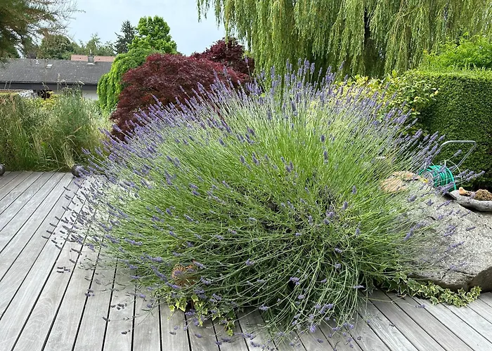 Maison De Charme Avec Jacuzzi Location 1 Ou 2 Semaines Debut Juillet 2026 * Preverenges