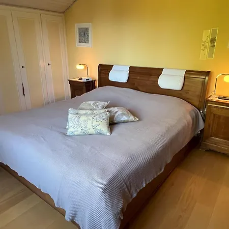 Villa Maison De Charme Avec Jacuzzi Location 1 Ou 2 Semaines Debut Juillet 2026 Preverenges